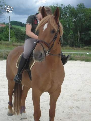Photo de profil de didi74910