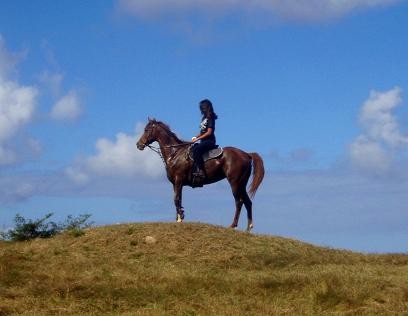 Photo de profil de titseindy