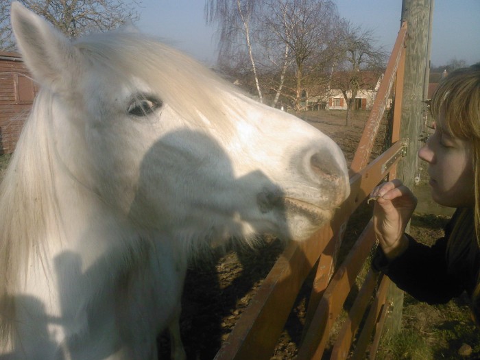 Photo de profil de t.sophie