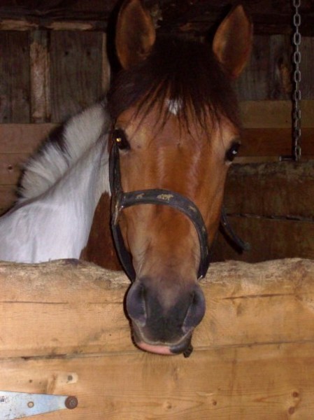 Photo de profil de chaidy17