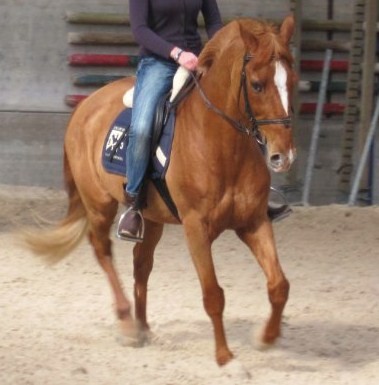 Photo de profil de meganinespere