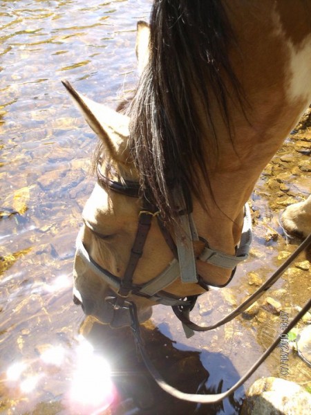 Photo de profil de tora