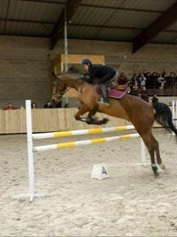 Photo de profil de taillou13