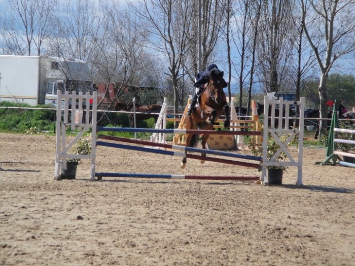 Photo de profil de beatrice30