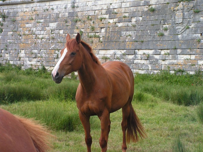 Photo de profil de belleduche
