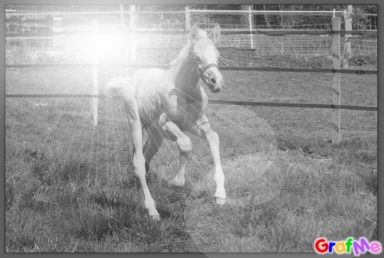 Photo de profil de asalya