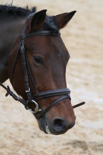 Photo de profil de marjo95