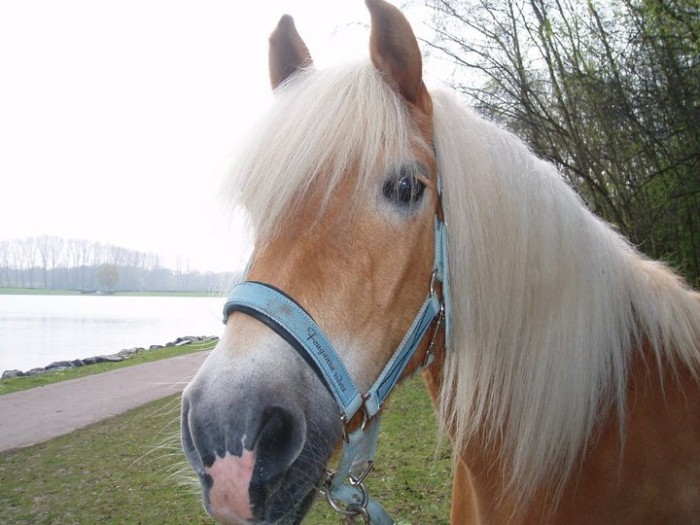 Photo de profil de nonodelagohelle