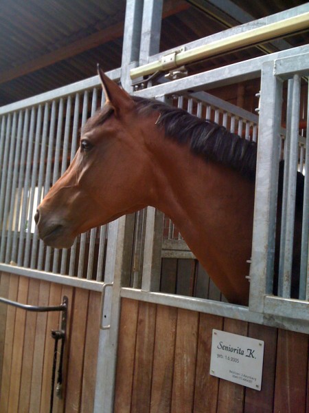 Photo de profil de vstappers