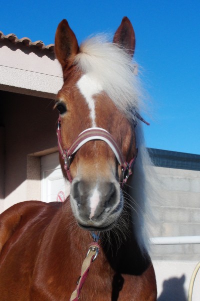 Photo de profil de maimiti