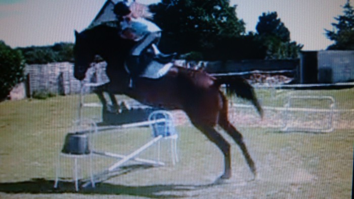 Photo de profil de luciehorse