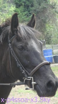 Photo de profil de cassandra06210