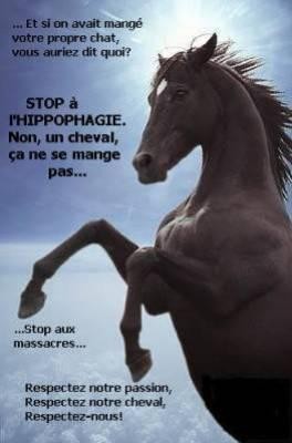 Photo de profil de bidette