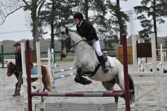 Photo de profil de iloveponey