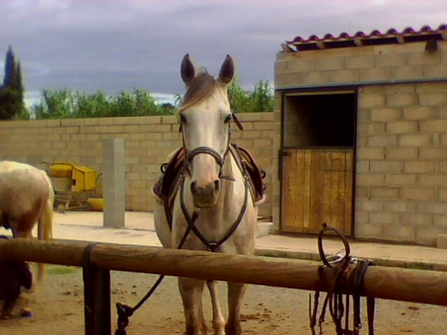 Photo de profil de dadine4