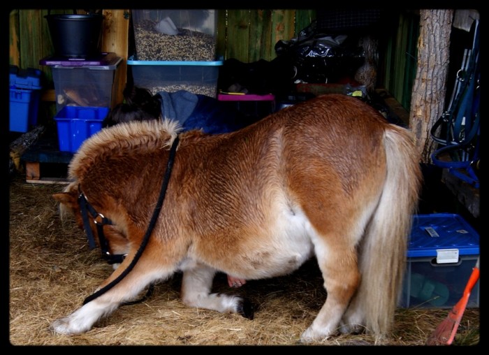 Photo de profil de toffynou