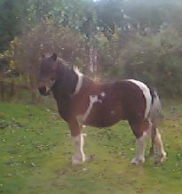 Photo de profil de nana27