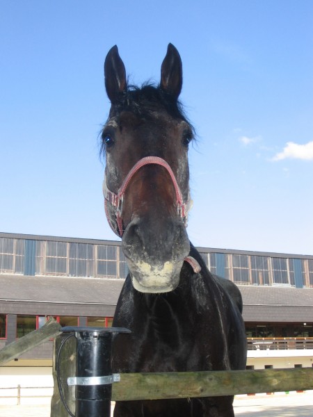 Photo de profil de mileve