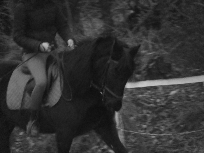 Photo de profil de nina1986