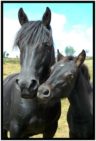Photo de profil de cecilecheval