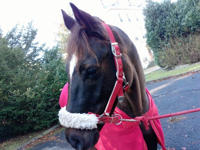 Photo de profil de lolotte2808