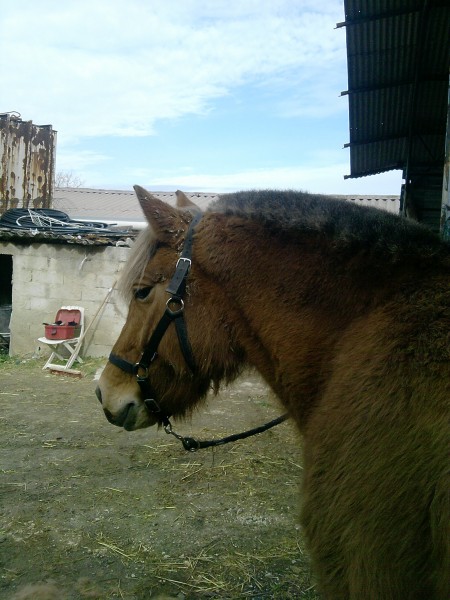 Photo de profil de senka13