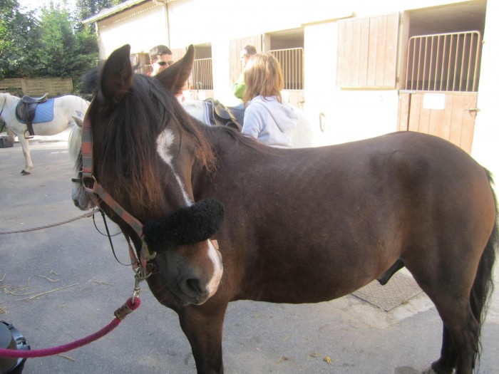 Photo de profil de carolou