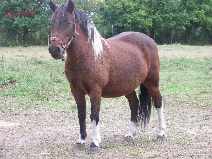 Photo de profil de momo44000