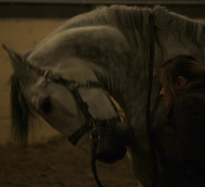 Photo de profil de elenachuimer