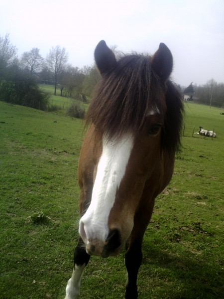 Photo de profil de salome_topaz01