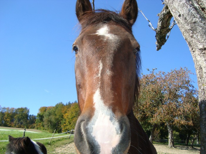 Photo de profil de sirocco1990