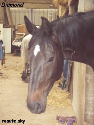 Photo de profil de gwennaellee