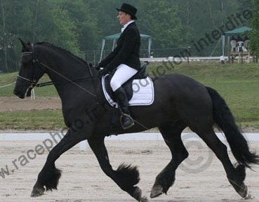 Photo de profil de centoria