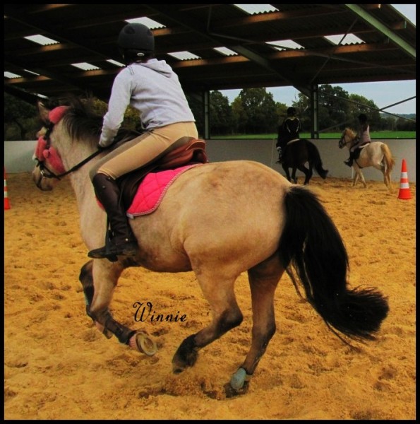 Photo de profil de taniaa