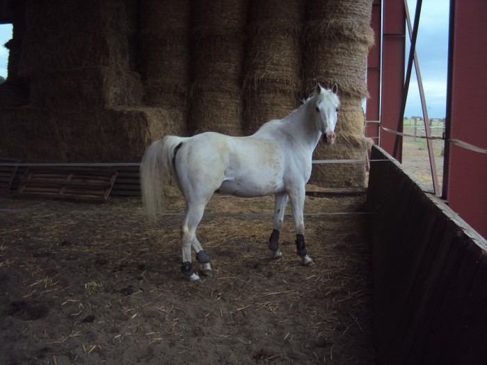 Photo de profil de harouun