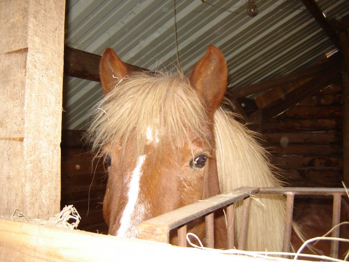 Photo de profil de ninis41