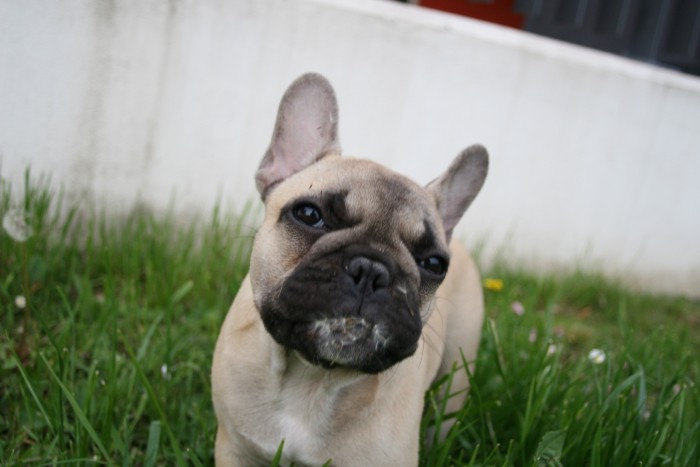 Photo de profil de margo0o0o0