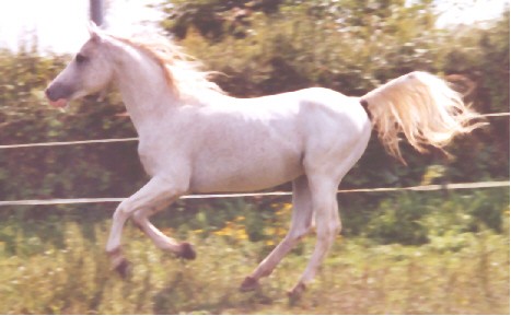 Photo de profil de benhaia