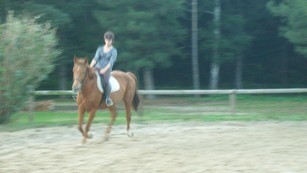 Photo de profil de ponyxl