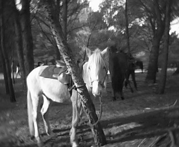 Photo de profil de flodu11