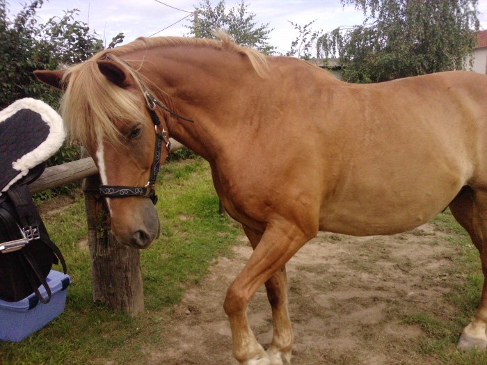 Photo de profil de justine.43