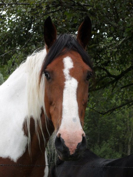 Photo de profil de milkajiji