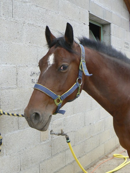 Photo de profil de ramdamlechef