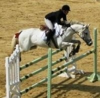 Photo de profil de mitraille