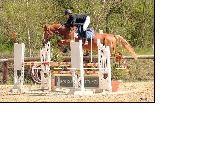 Photo de profil de benconlk