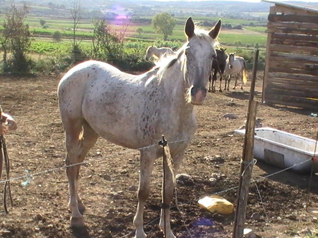 Photo de profil de shasha5