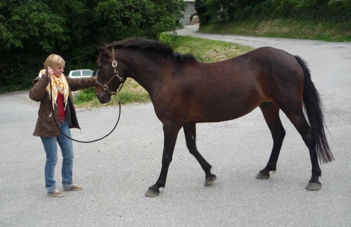 Photo de profil de fofie38