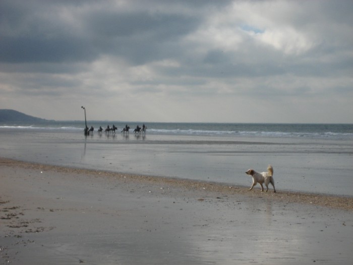 Photo de profil de tierraguamor