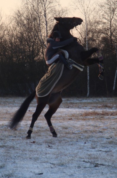 Photo de profil de xfl0riiane