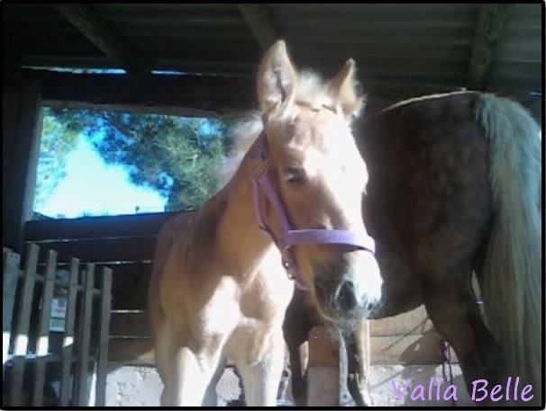 Photo de profil de vallabelle